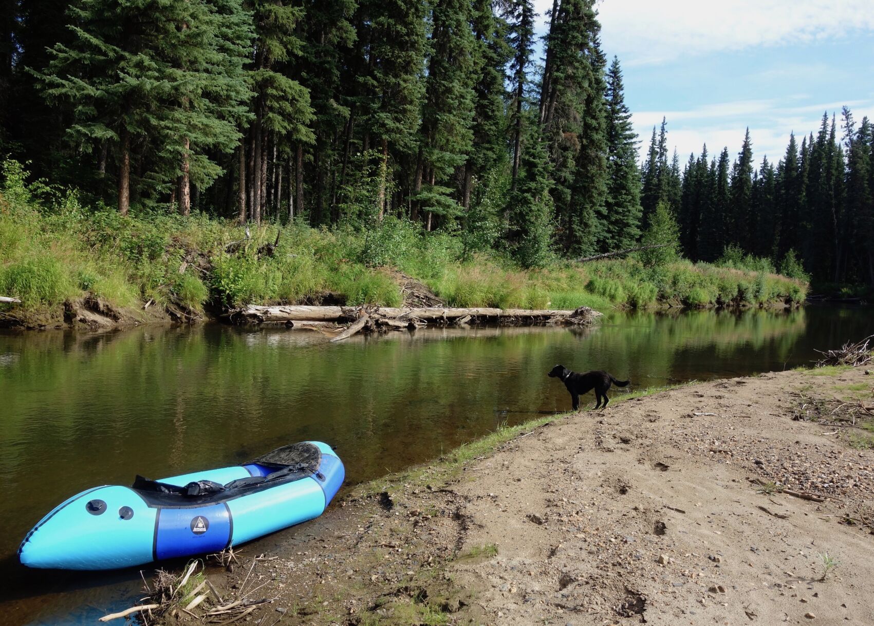 2. South Fork of the Chena River.jpg